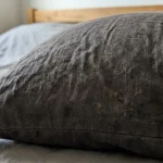 Skrytá hrozba na známém polštáři skryta-hrozba-na-znamem-polstari.webp.webp