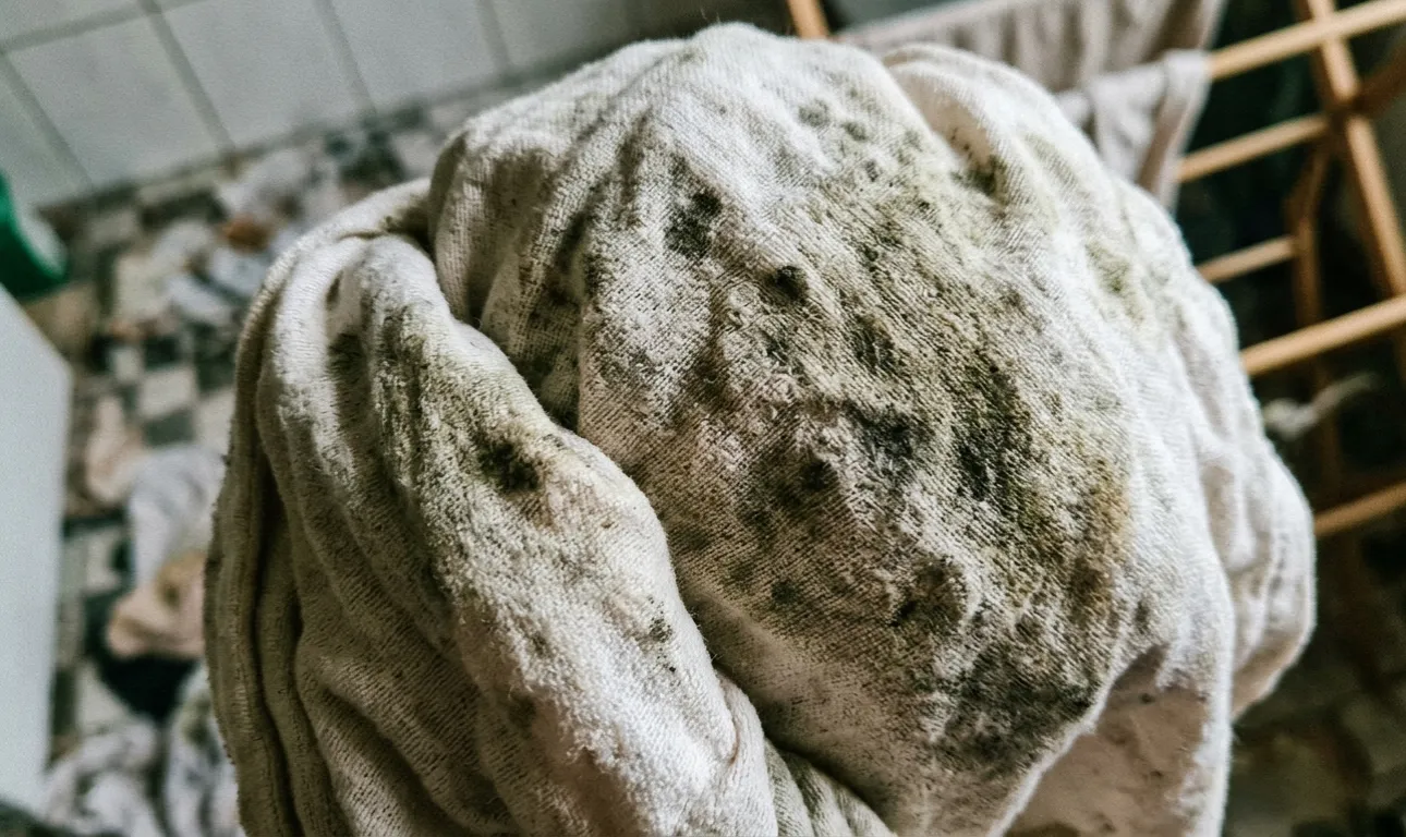 Vlhkost způsobuje, že samotné předměty vyvíjejí zatuchlý zápach.